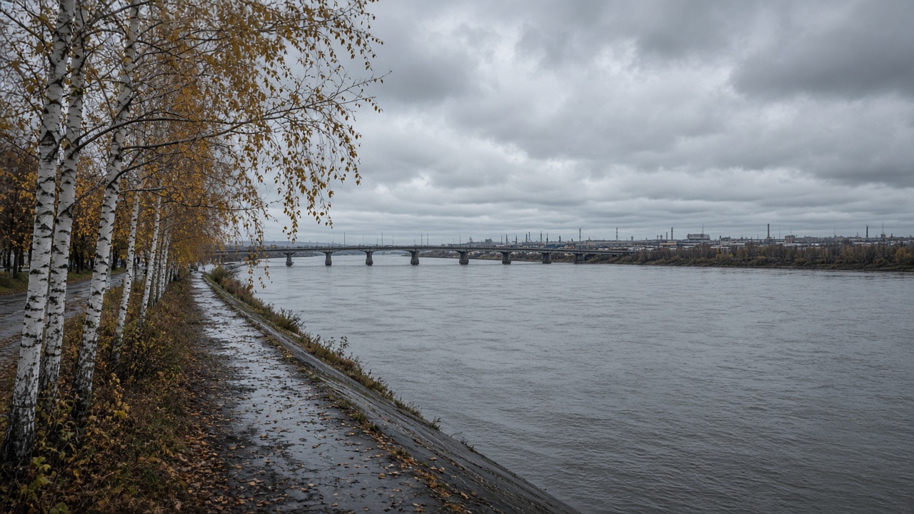Енисей, мост и берёзы в пасмурный ноябрьский день